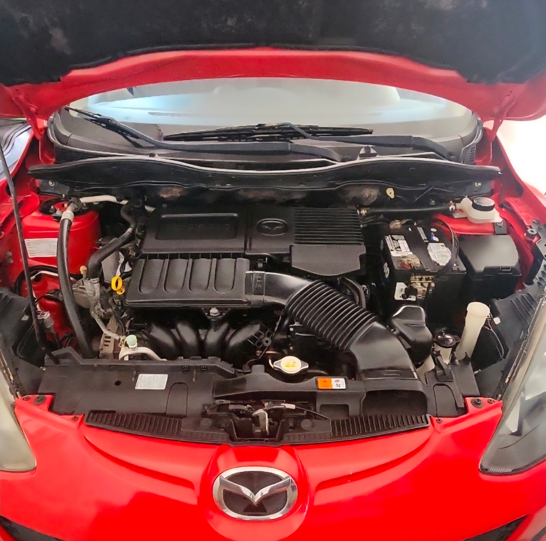 Clean, freshly detailed red car engine bay with the hood open